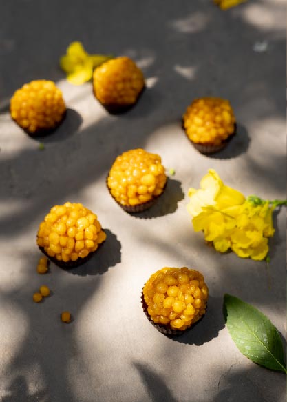 Signature Collection of Laddoos